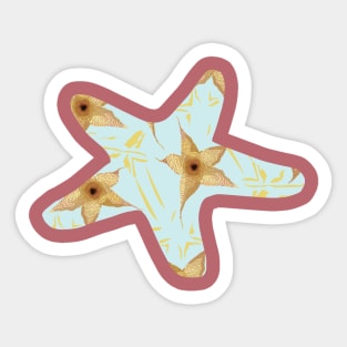 Hairy Starfish Sticker